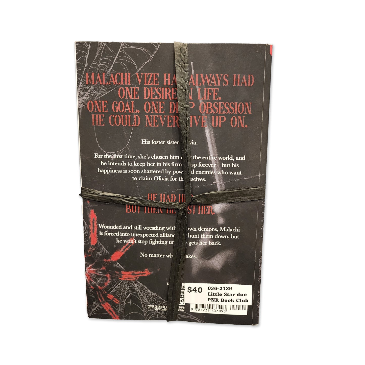 Leigh Rivers - Little Stranger / Little Liar Book Set