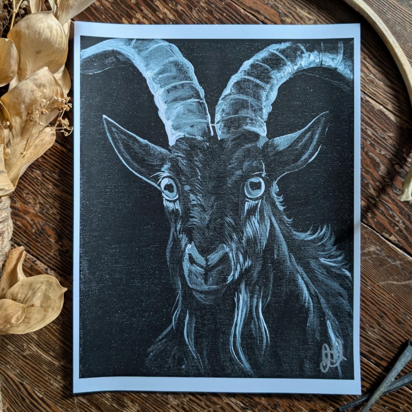 Black Phillip Print 8.5x11