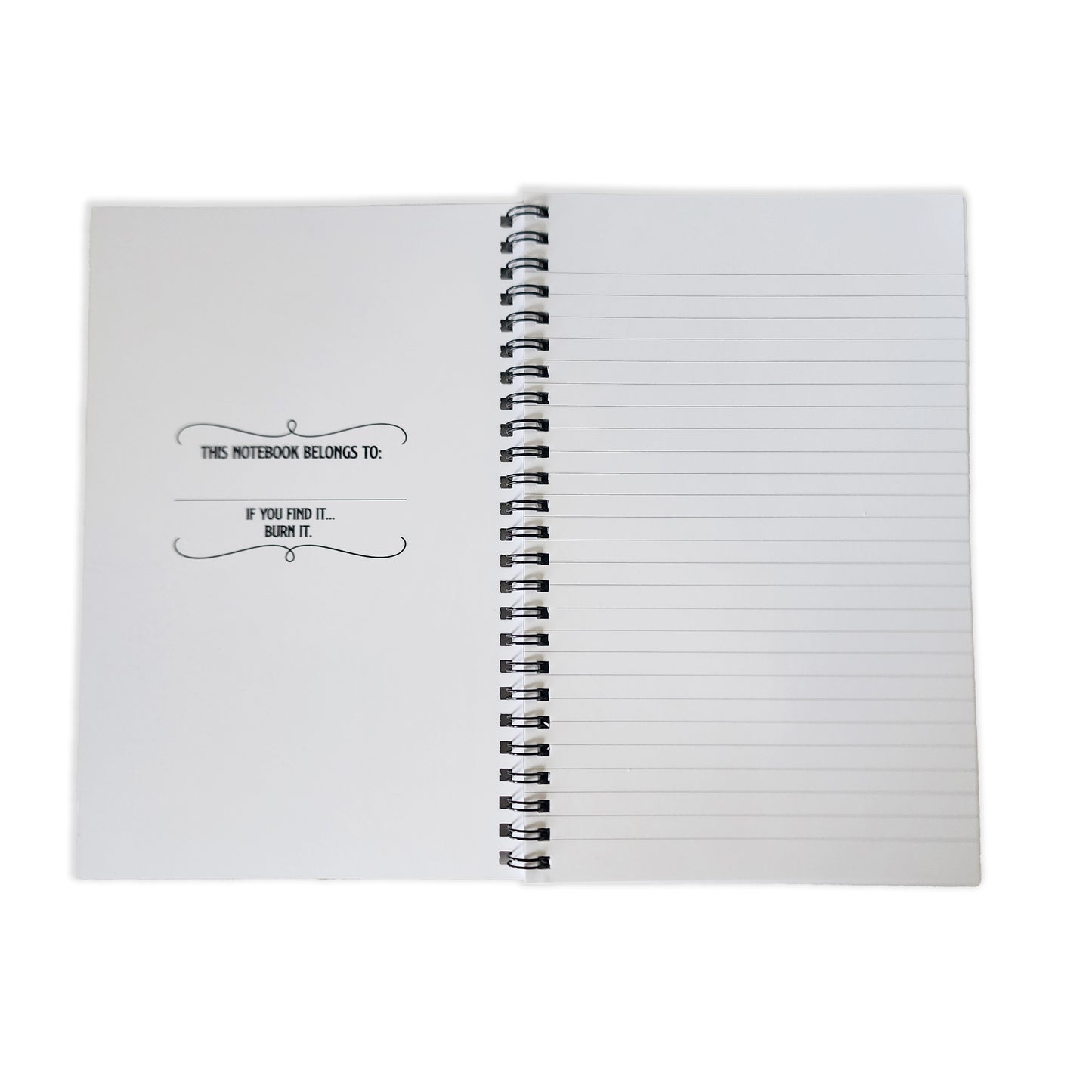 A Little Book of Strange Thoughts Notebook