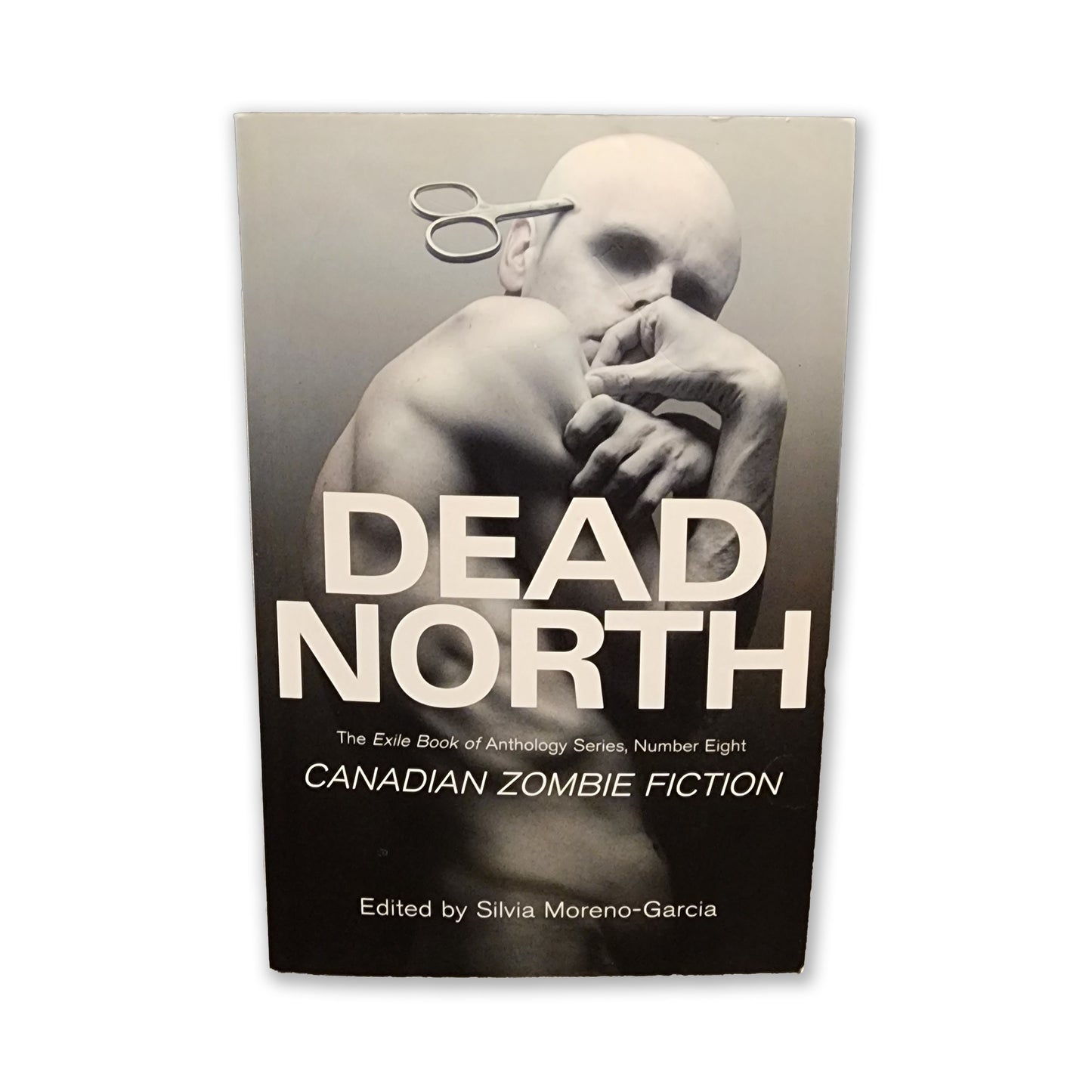 Silvia Moreno-Garcia - Dead North - 2013
