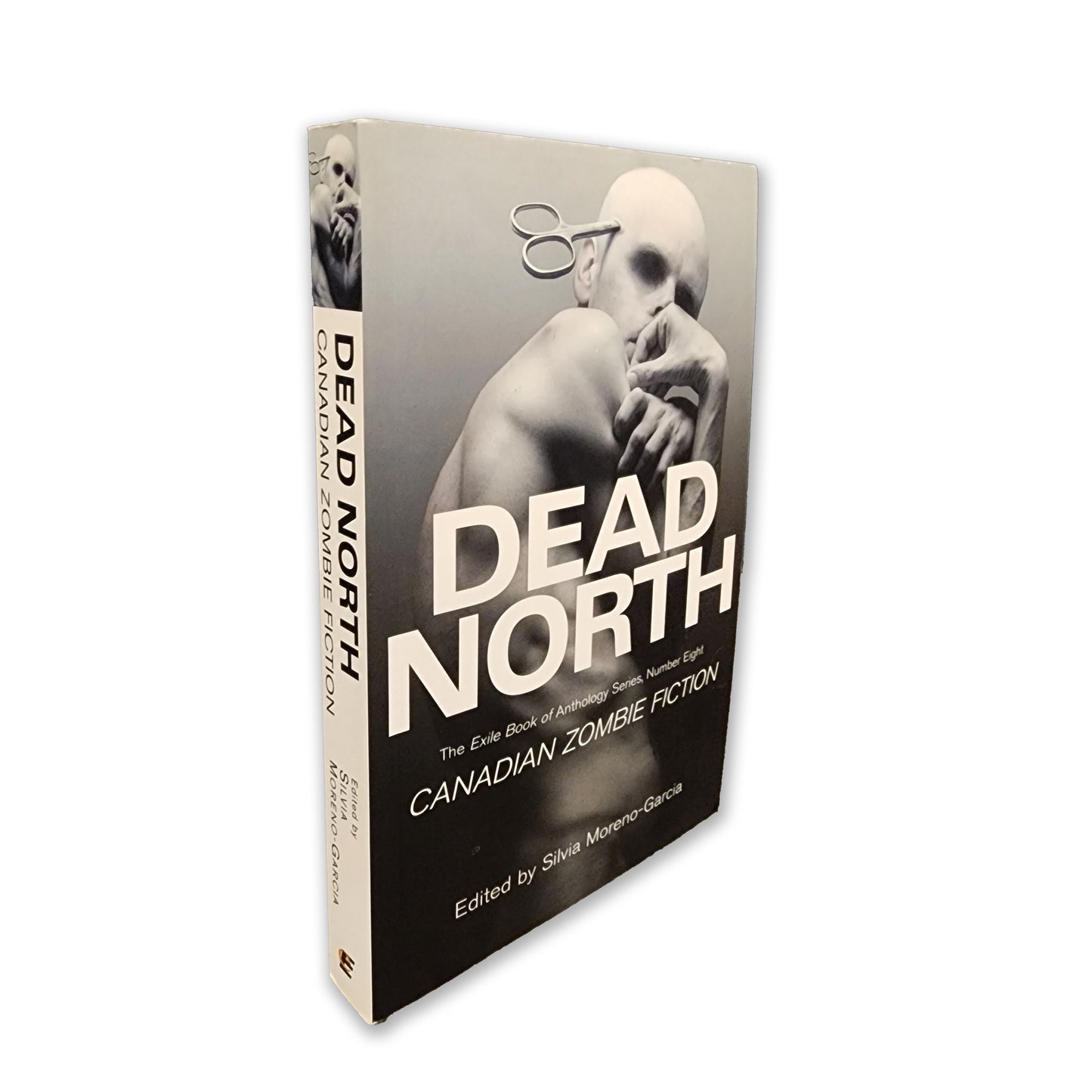 Silvia Moreno-Garcia - Dead North - 2013