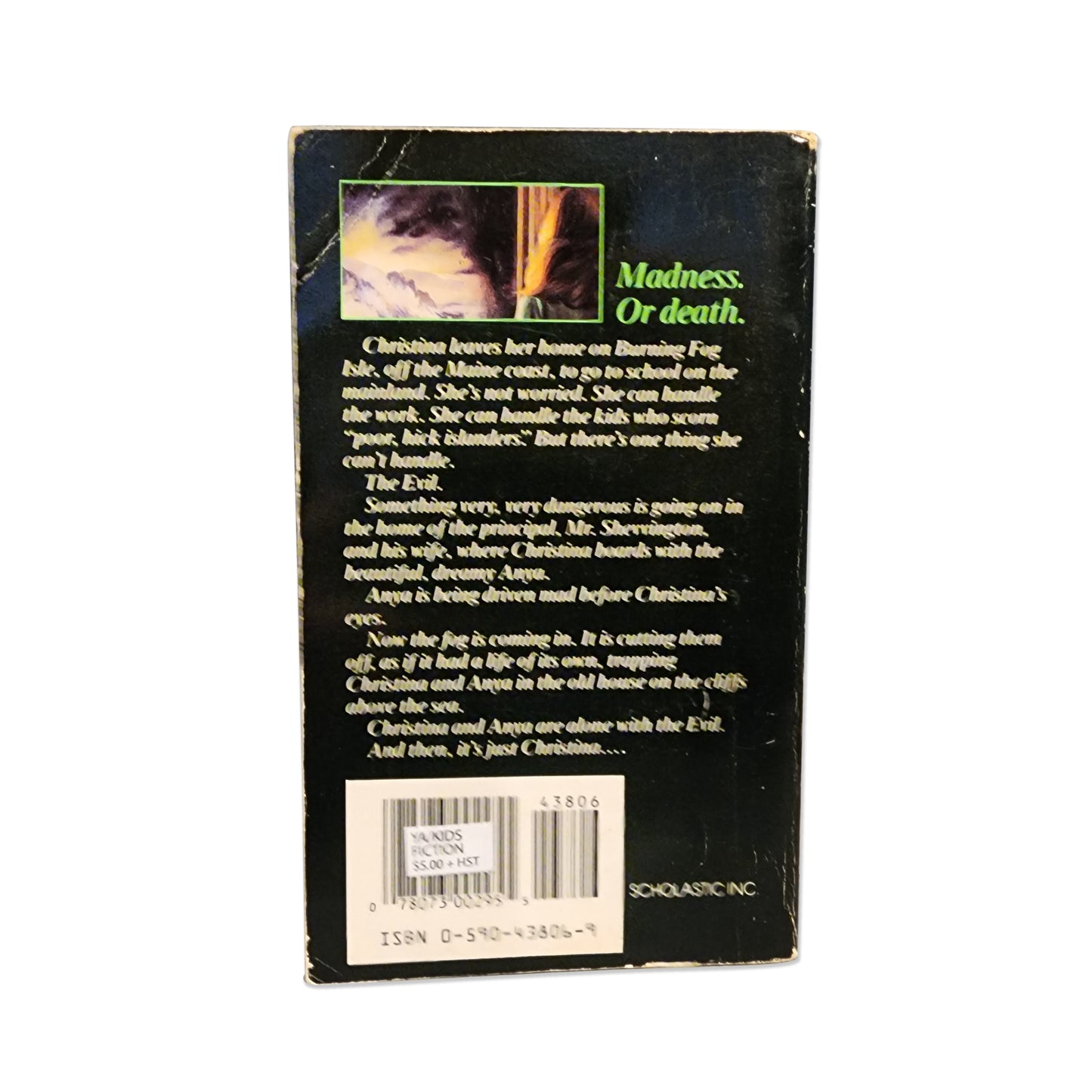 Caroline B. Cooney - The Fog - 2001