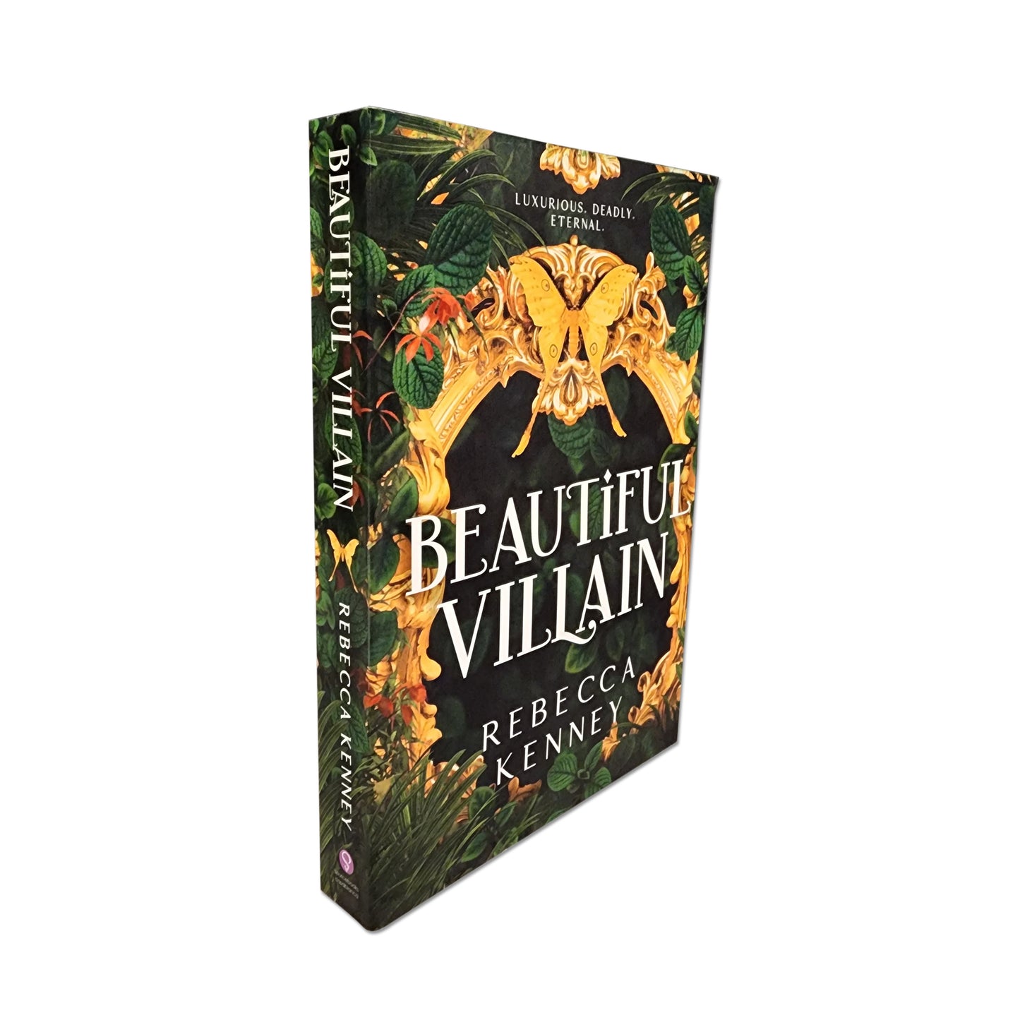 Rebecca Kenney  - Beautiful Villain