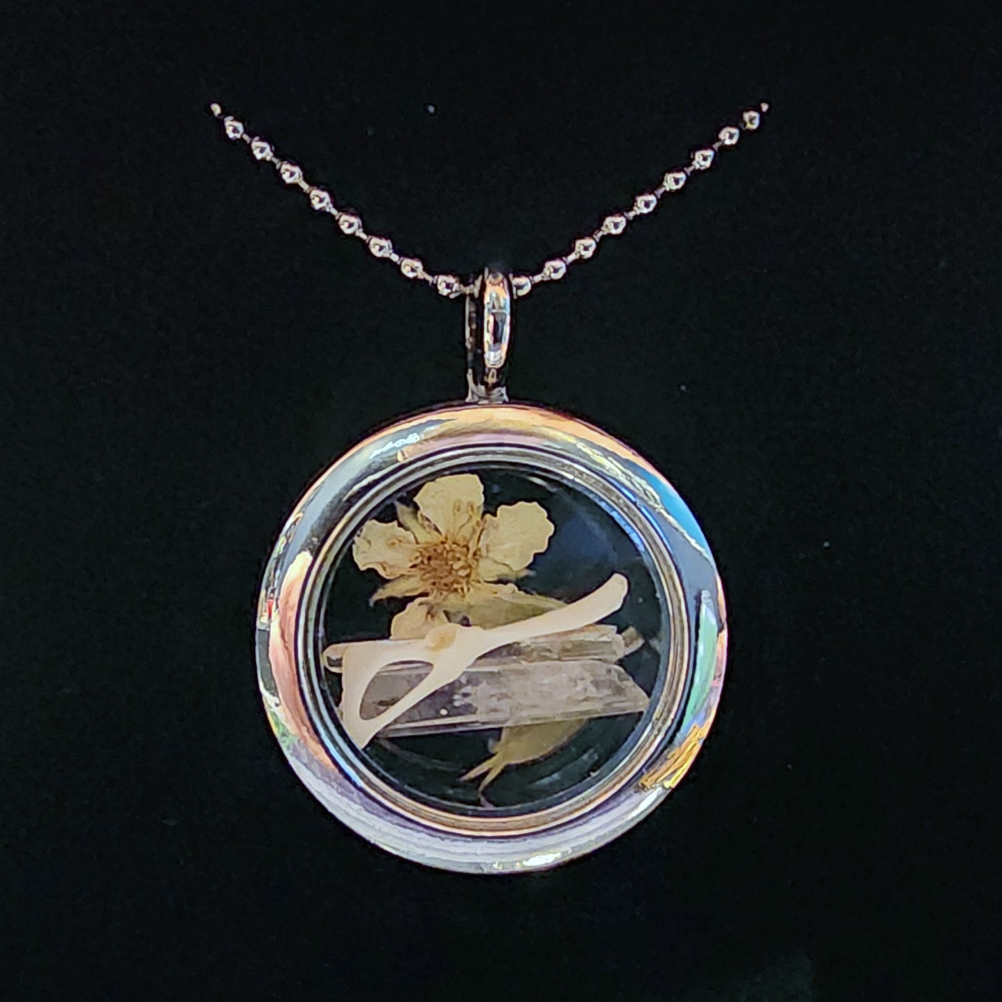 Natural Findings Locket