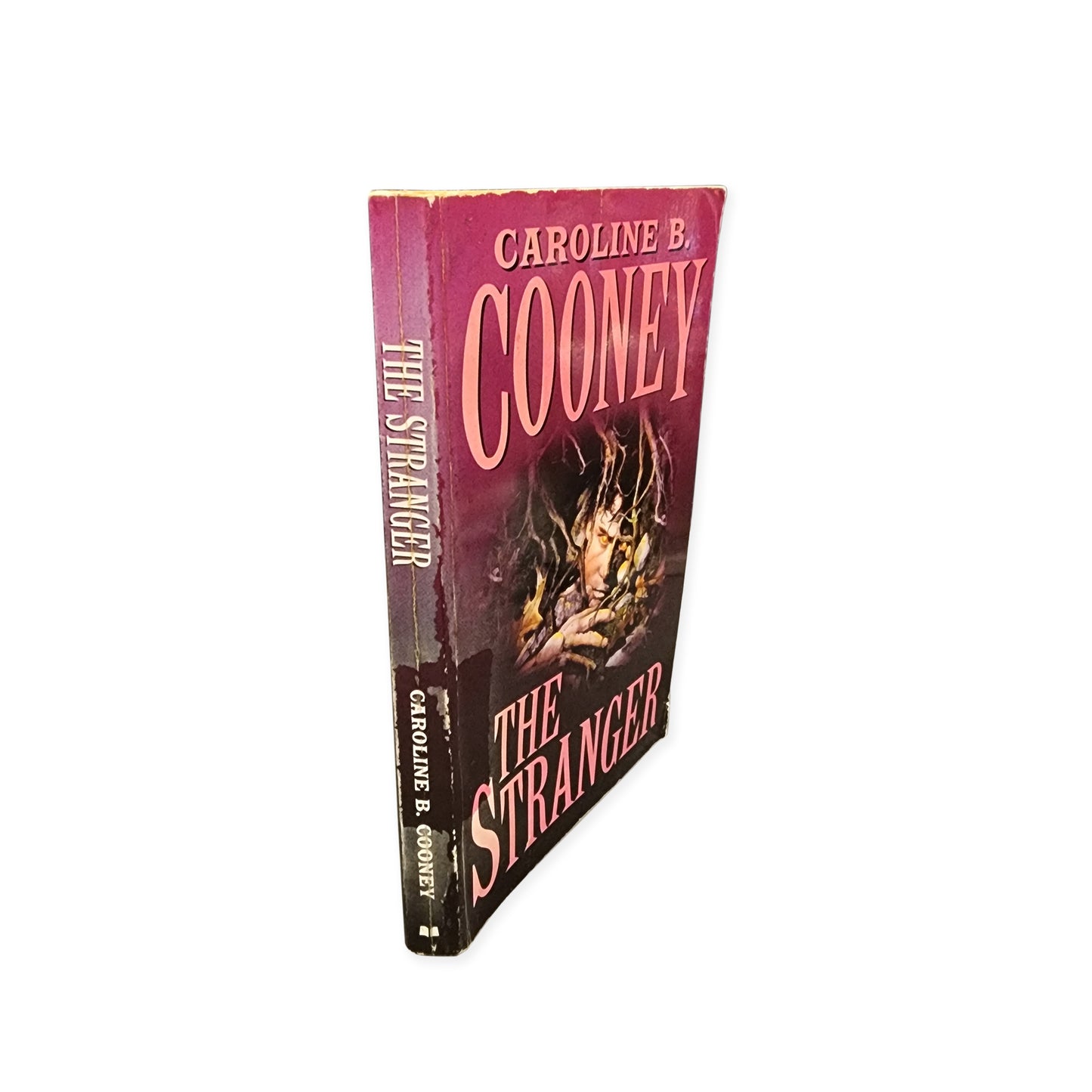 Caroline B. Cooney - The Stranger - 1993