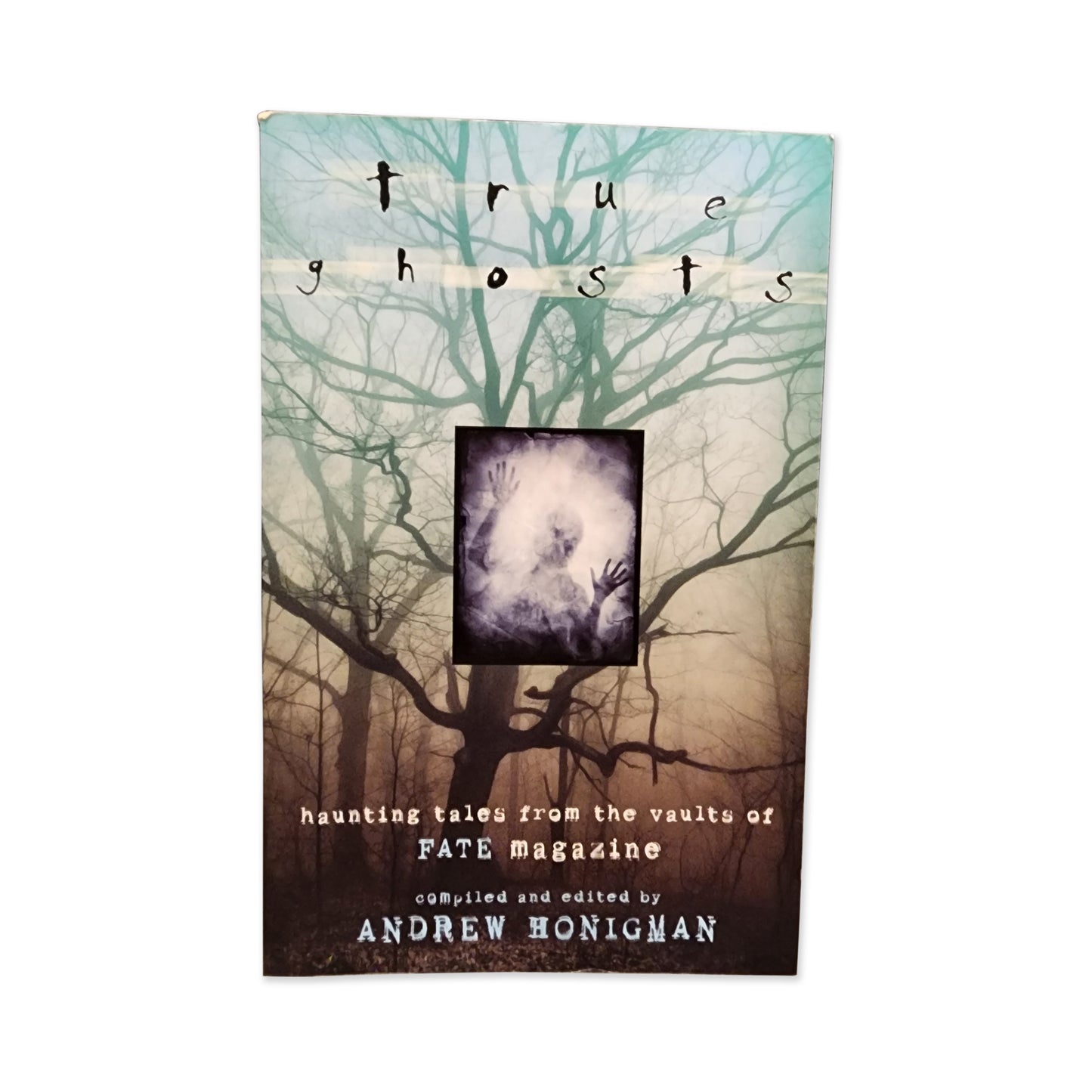 Andrew Honigman - True Ghosts - 2009