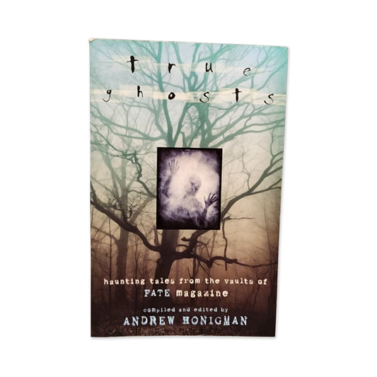 Andrew Honigman - True Ghosts - 2009