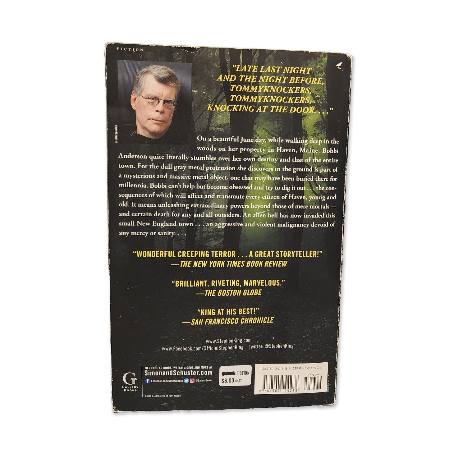 Stephen King - The Tommyknockers - 2016