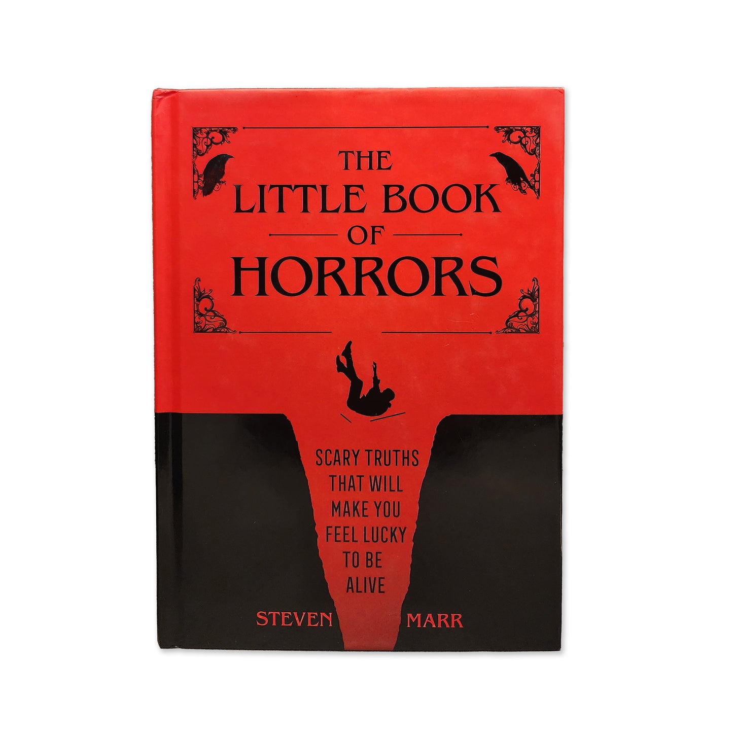Steven Marr - The Little Book of Horrors - 2024