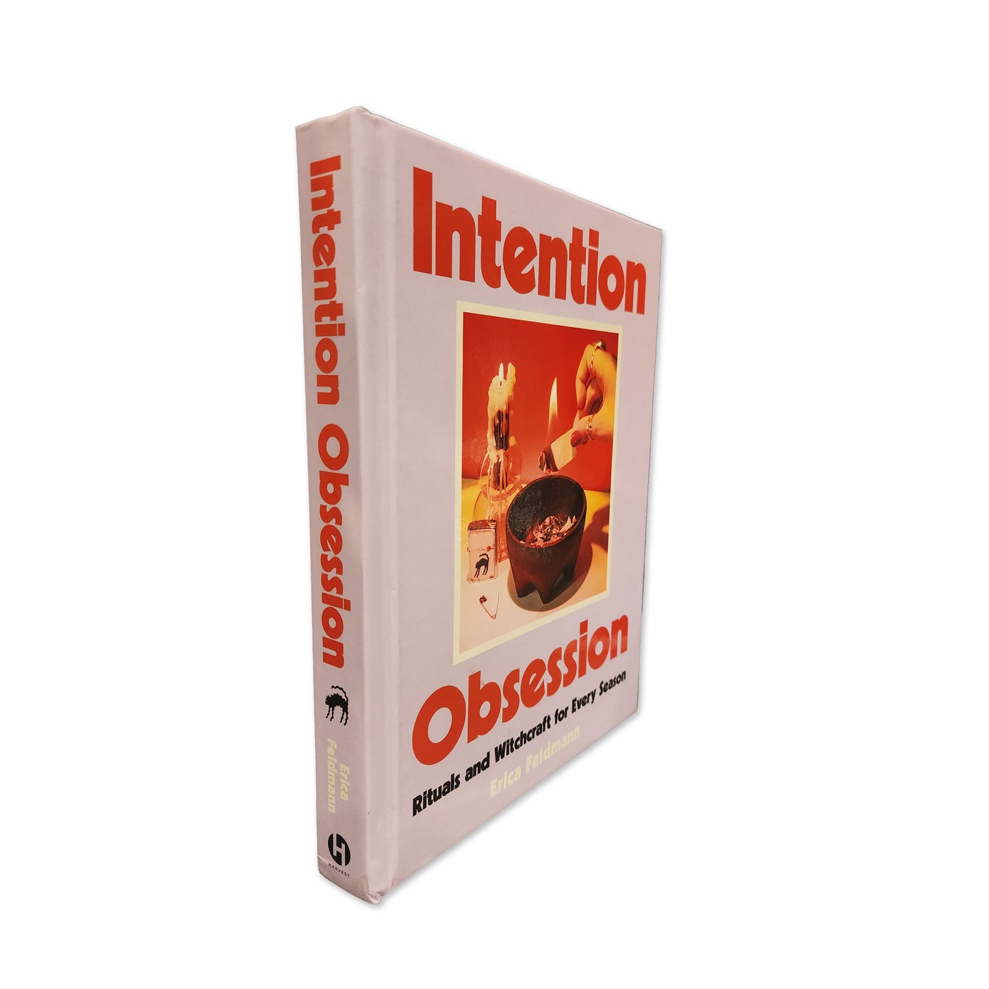 Erica Feldmann - Intention Obsession - 2025