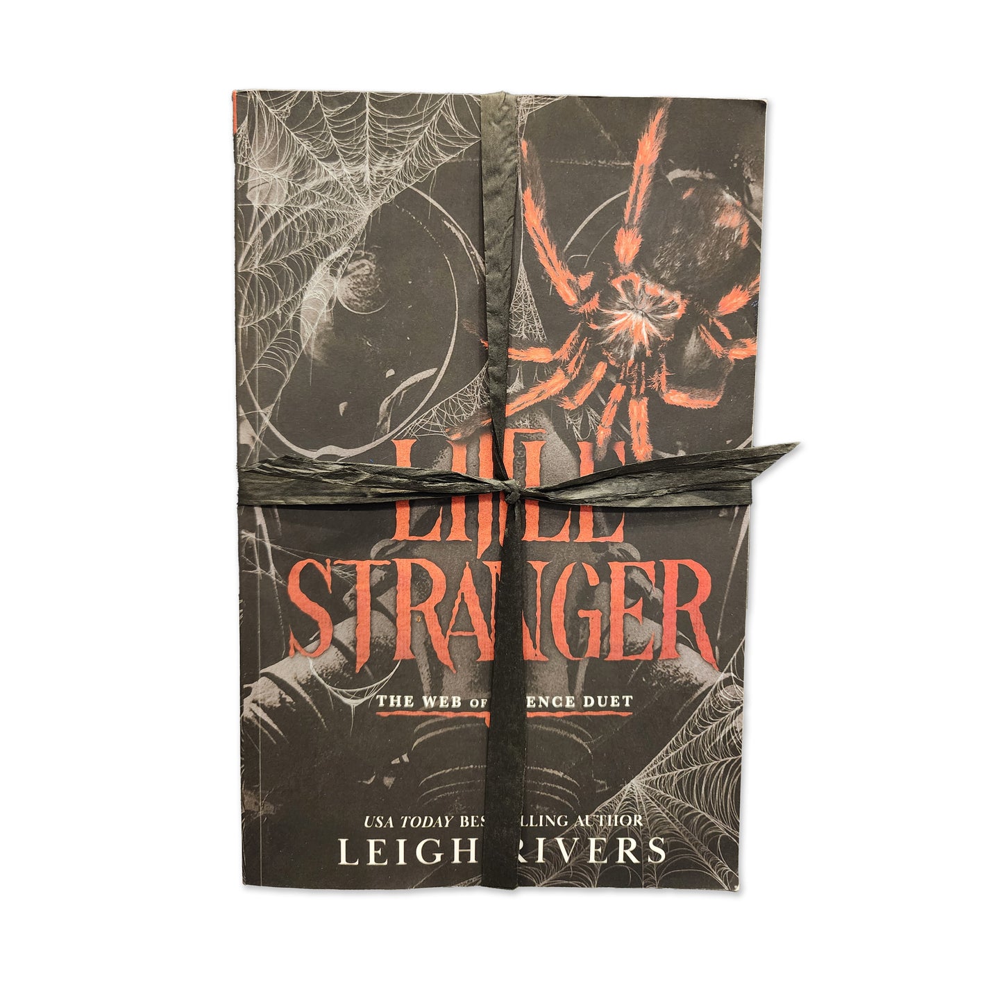 Leigh Rivers - Little Stranger / Little Liar Book Set
