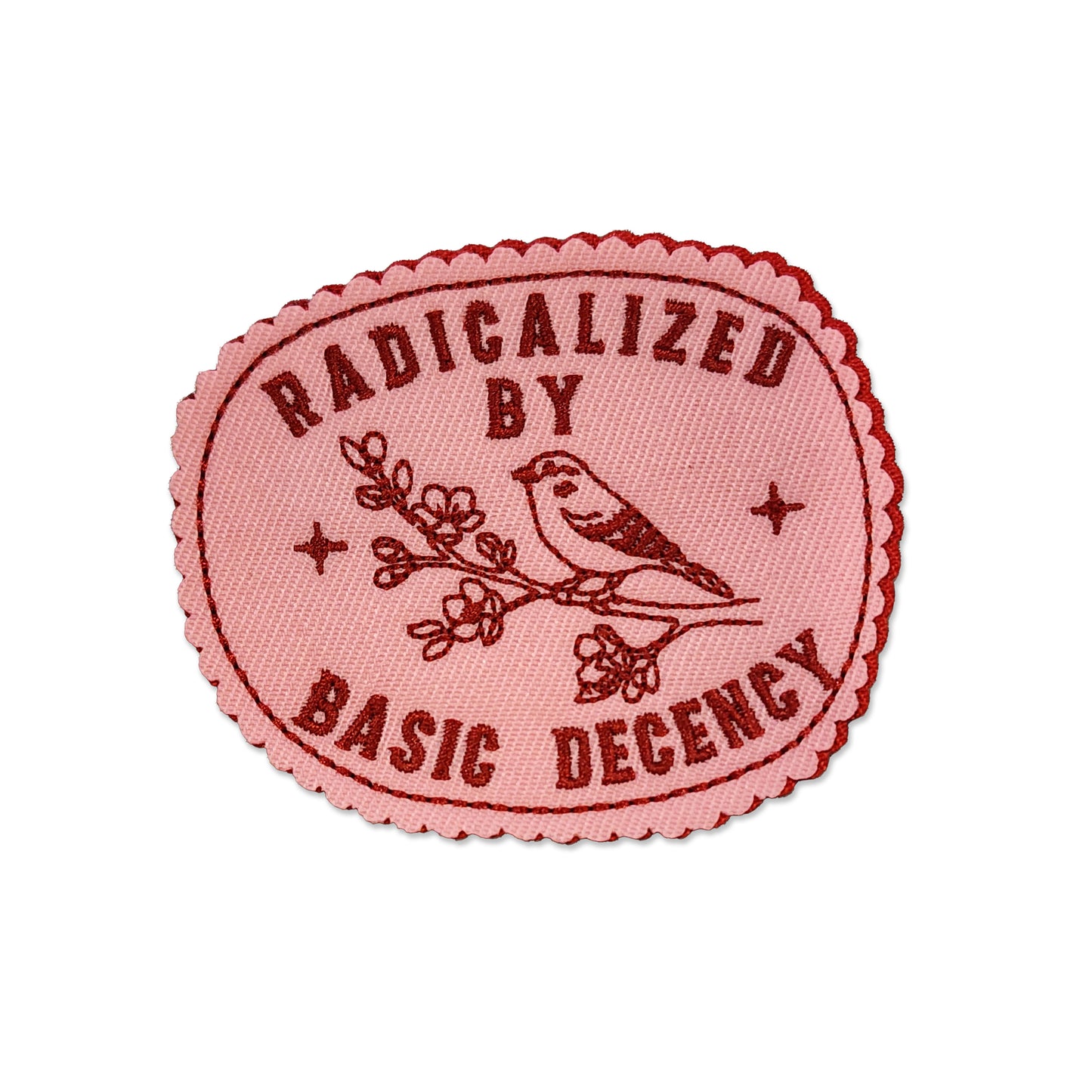 Radicalized By Basic Decency Patch
