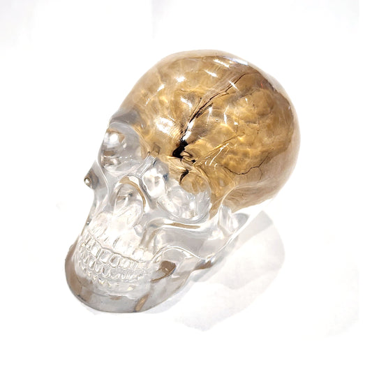 Skull (Medium) Walnut Brain