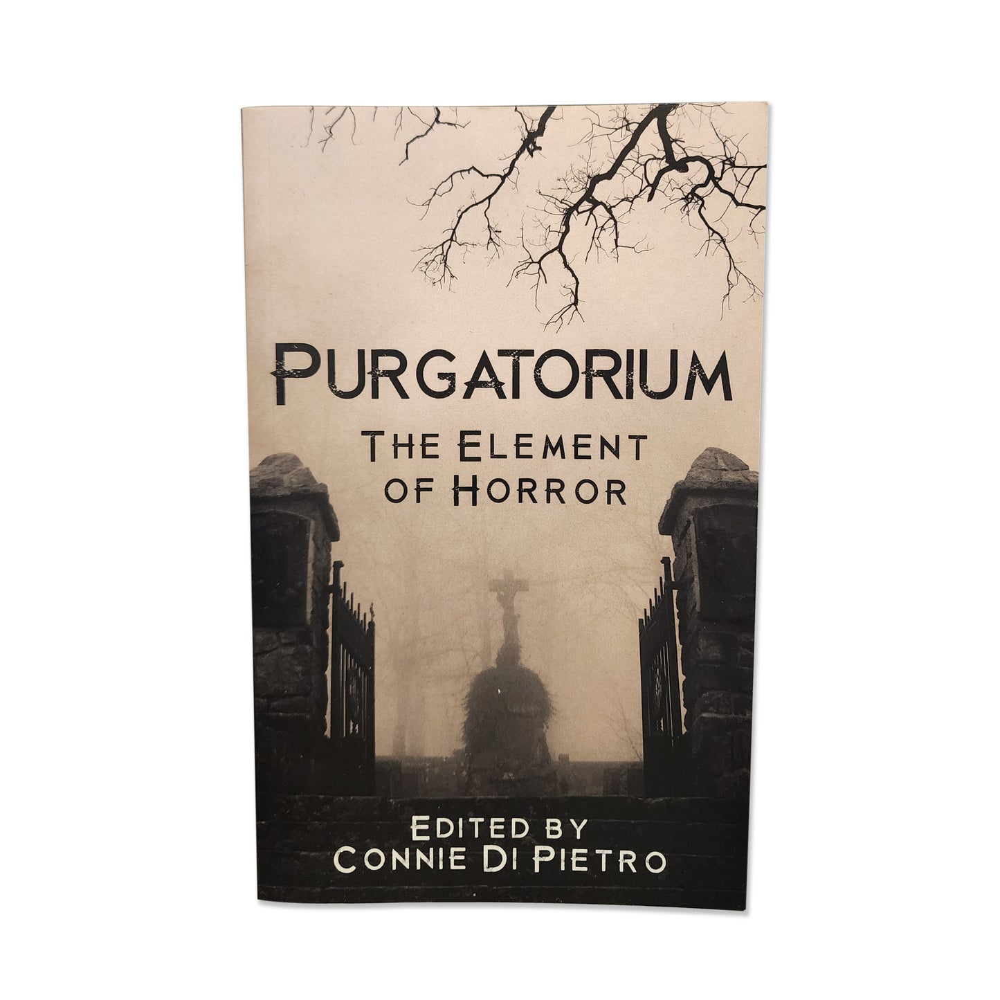 CreateSpace - Purgatorium The Element of Horror - 2016