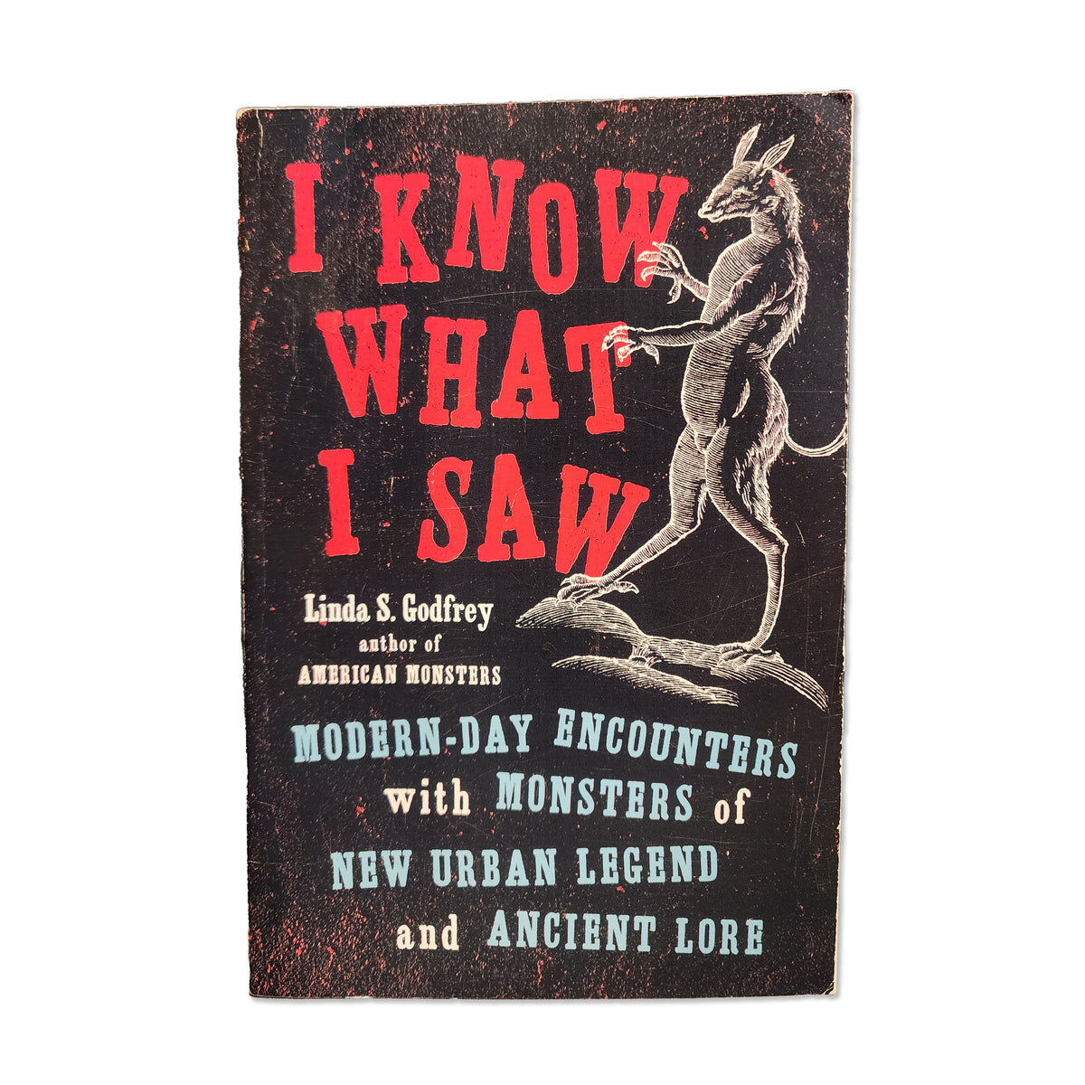 Linda Godfrey - I Know What I Saw - 2020