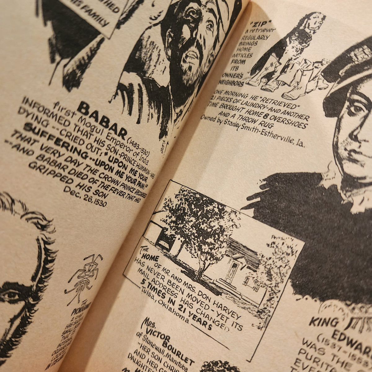 Pocket Books - Ripley's Believe It Or Not 6023 - 1960